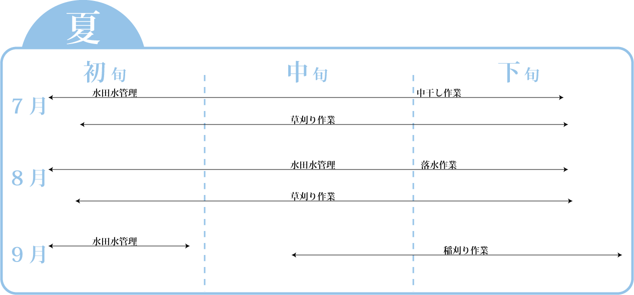 年間行事(夏)