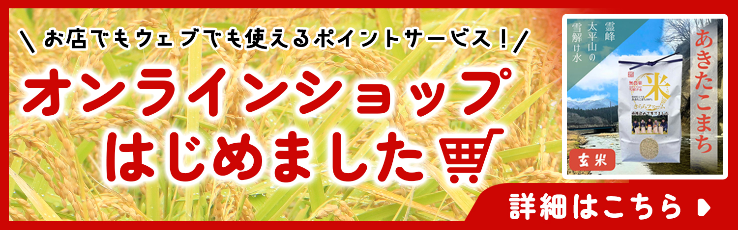 オンラインショップはじめました