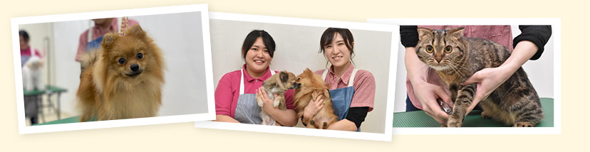 ご家族ごとのライフスタイルに合わせたご提案をさせていただきます!